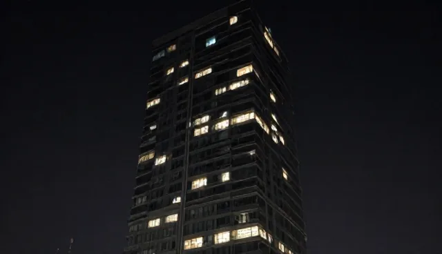 项目包括商务时的选型建议及限制条件分析